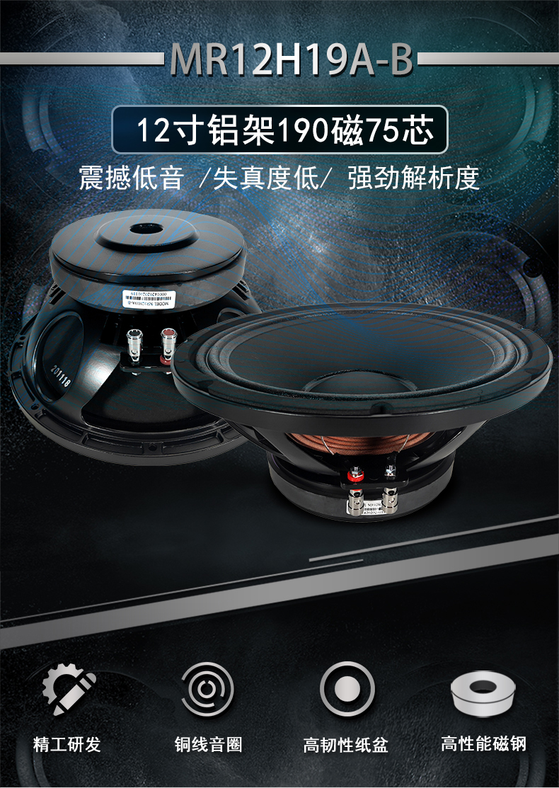 MR12H19A-B詳情_01
